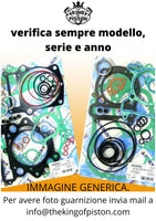 Serie Guanizione Motore DEVIL 160 CC.2T.