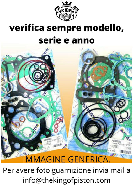 Serie Guanizione Motore SACHS 50CC 2T 5 VEL. FAMO