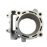 Gruppo Termico Big Bore Ø 100 mm, 490 cc per aumentare le performance KAWASAKI KX F 450 cc (2009/2015)