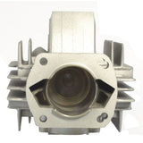 Gruppo Termico Big Bore Ø 48 mm, 80 cc, Valvola Lamellare, Collettori e Guarnizioni necessarie SACHS M1 50 cc