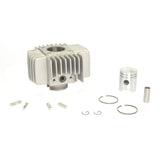 Gruppo Termico Standard Bore con Testata Ø 40 mm, 50 cc e Guarnizioni necessarie all'installazione PEUGEOT LUDIX 50 cc (2005/2018)