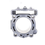 Gruppo Termico Standard Bore Ø 78 mm, 250 cc con Guarnizioni necessarie per l'installazione KAWASAKI KX 4T 250 cc (2020)