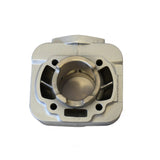 Gruppo Termico Standard Bore Senza Testata Ø 40 mm, 50 cc con Guarnizioni necessarie per l'installazione GILERA TYPHOON 50 cc (1994/1997)