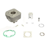 Gruppo Termico Standard Bore Senza Testata Ø 40 mm, 50 cc con Guarnizioni necessarie per l'installazione BS'V DIO SP 50 cc
