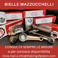 BIELLA COMPLETA GUZZI STORNELLO TURISMO F. 15