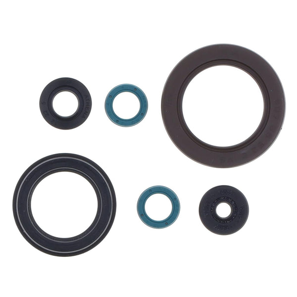 Serie Paraolio Motore YAMAHA FZS FAZER 600 - Years: from 1-1998 - to 12-2003