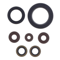Serie Paraolio Motore SHERCO SEF-R 300 - Years: from 1-2014 - to 12-2020