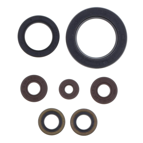 Serie Paraolio Motore SHERCO SEF-R 300 - Years: from 1-2014 - to 12-2020