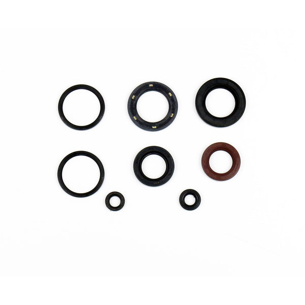 Serie Paraolio Motore SYM JOYMAX EVO I 300 - Years: from 1-2010 - to 12-2018