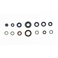 Serie Paraolio Motore DUCATI MONSTER METALLIC 600 - Years: from 1-1999 - to 12-2000