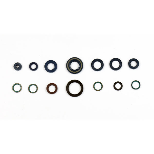 Serie Paraolio Motore DUCATI MONSTER METALLIC 600 - Years: from 1-1999 - to 12-2000
