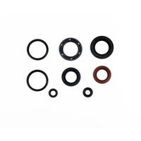 Serie Paraolio Motore SYM JOYMAX I 300 - Years: from 1-2012 - to 12-2018