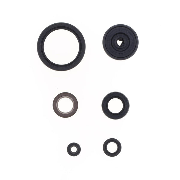 Serie Paraolio Motore YAMAHA YZ FX 450 - Years: from 1-2024 - to 12-2024