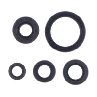Serie Paraolio Motore YAMAHA WR F 250 - Years: from 1-2020 - to 12-2024