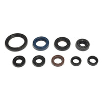 Serie Paraolio Motore YAMAHA YZ F 426 - Years: from 1-2000 - to 12-2002