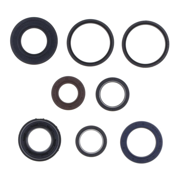 Serie Paraolio Motore YAMAHA YQ AEROX 100 - Years: from 1-2000 - to 12-2002
