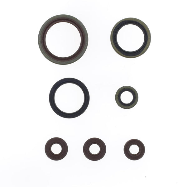Serie Paraolio Motore SHERCO SE-R 300 - Years: from 1-2014 - to 12-2020