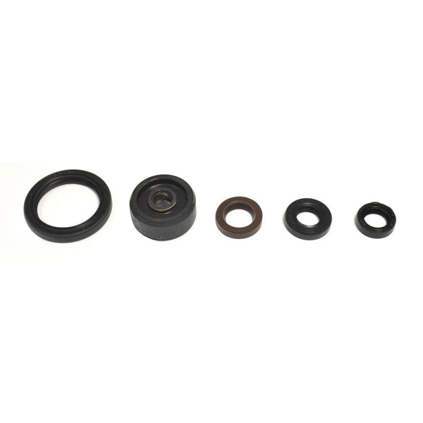 Serie Paraolio Motore YAMAHA WR X 250 - Years: from 1-2008 - to 12-2017