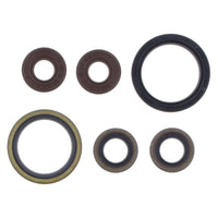 Serie Paraolio Motore SHERCO SEF-R 450 - Years: from 1-2015 - to 12-2019
