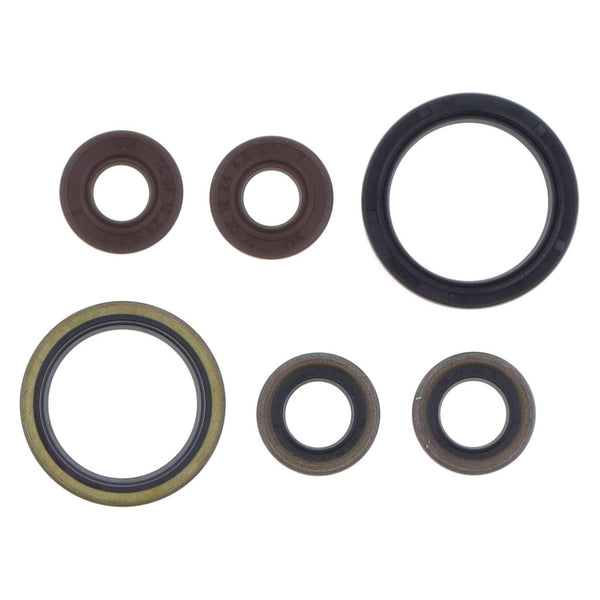 Serie Paraolio Motore SHERCO SEF-R 450 - Years: from 1-2015 - to 12-2019