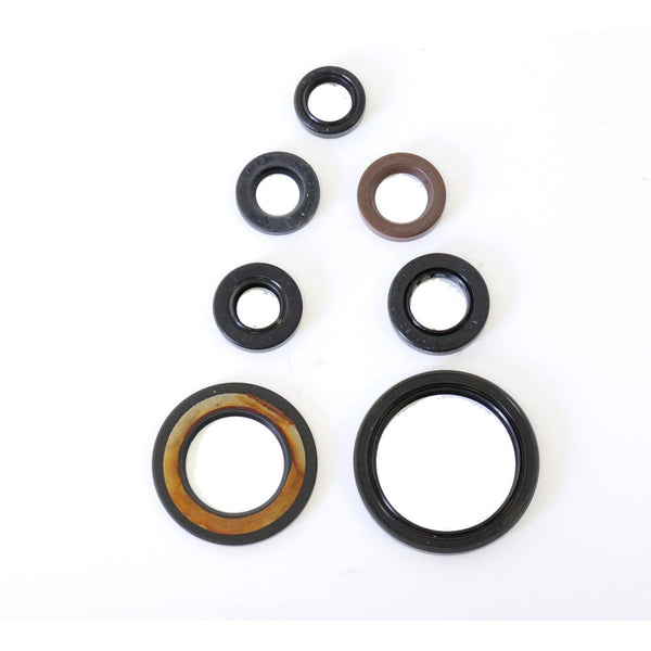 Serie Paraolio Motore YAMAHA YFM RAPTOR 700 - Years: from 1-2006 - to 12-2020
