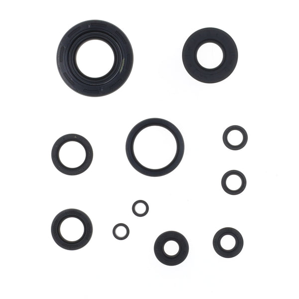 Serie Paraolio Motore YAMAHA YZ 2T 250 - Years: from 1-2001 - to 12-2024