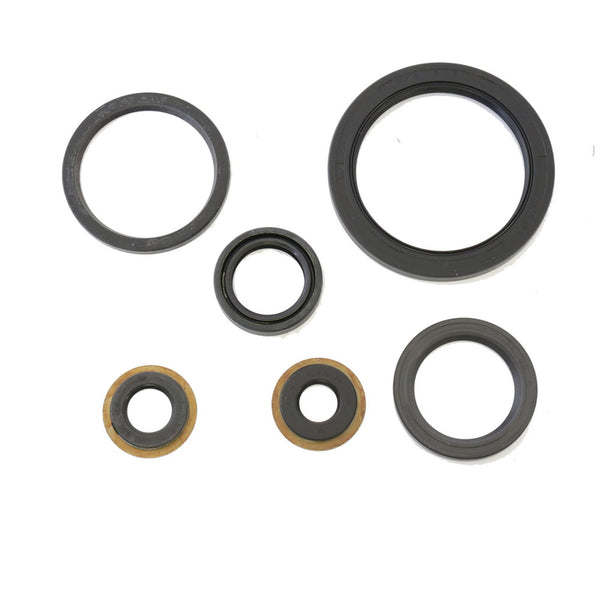 Serie Paraolio Motore YAMAHA YFM BRUIN 250 - Years: from 1-2005 - to 12-2008