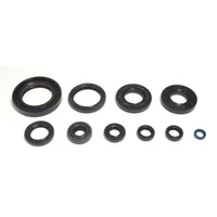 Serie Paraolio Motore YAMAHA YZ 2T 250 - Years: from 1-1998 - to 12-2000