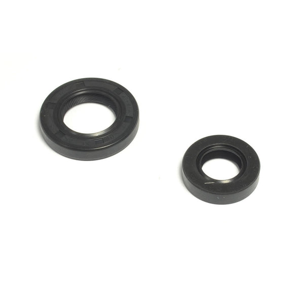 Serie Paraolio Motore YAMAHA TT-R 230 - Years: from 1-2005 - to 12-2007