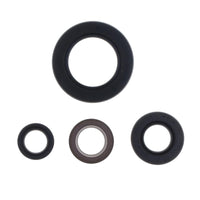 Serie Paraolio Motore YAMAHA TT-R 250 - Years: from 1-1999 - to 12-2006