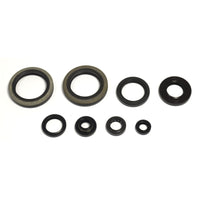 Serie Paraolio Motore SUZUKI RM 250 - Years: from 1-1993 - to 12-1995