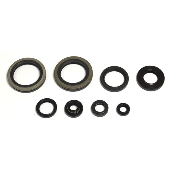 Serie Paraolio Motore SUZUKI RM 250 - Years: from 1-1993 - to 12-1995