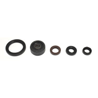 Serie Paraolio Motore YAMAHA WR R 250 - Years: from 1-2008 - to 12-2017