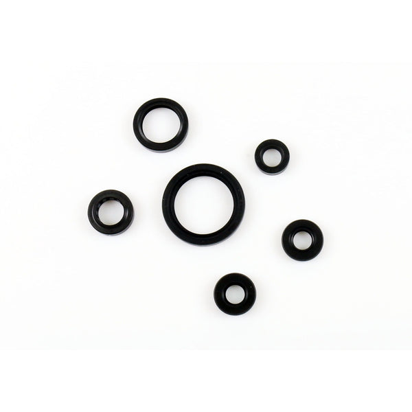 Serie Paraolio Motore SUZUKI DR-Z 400 - Years: from 1-2000 - to 12-2007