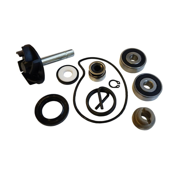 Kit Revisione Pompa Acqua Piaggio BEVERLY 250 cc