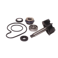 Kit Revisione Pompa Acqua Suzuki BURGMAN 125/250/400 cc