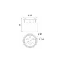 Filtro Olio APRILIA RSV4 R 1000cc/SUZUKI GSX-R 1000cc (OK138)