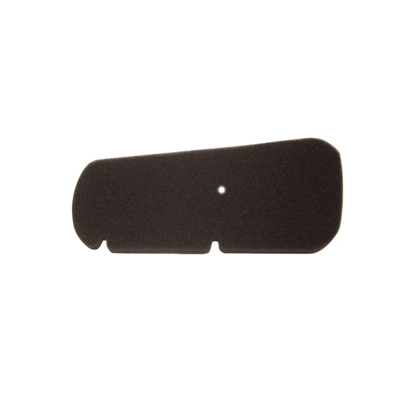Filtro Aria HONDA PANTHEON 2T 125/150cc