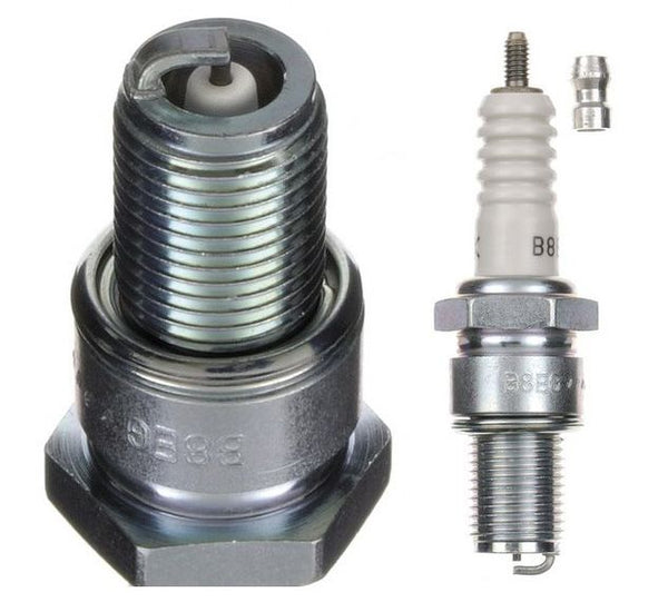 Candela B8EG (4pz)