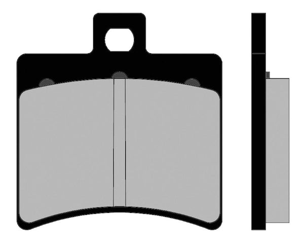 Pastiglie Freno Organiche BRENTA 3020