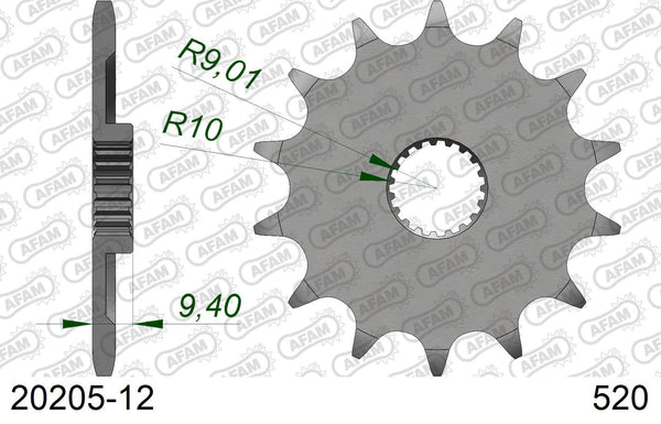 Pignone AFAM 20205-12 passo 520