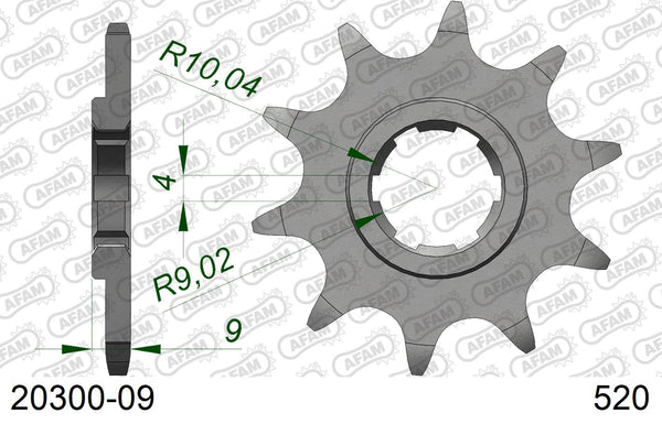 Pignone AFAM 20300-09 passo 520