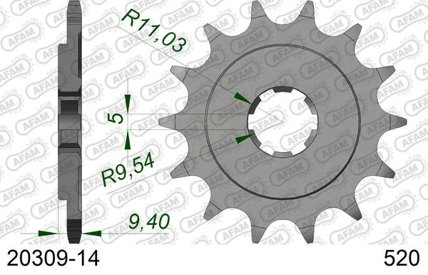 Pignone AFAM 20309-14 passo 520