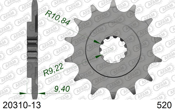 Pignone AFAM 20310-13 passo 520