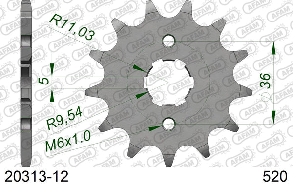 Pignone AFAM 20313-12 passo 520