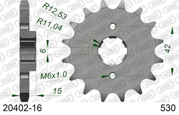 Pignone AFAM 20402-16 passo 530