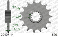 Pignone AFAM 20407-14 passo 20