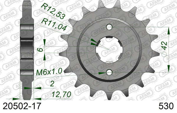 Pignone AFAM 20502-17 passo 530
