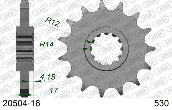 Pignone AFAM 20504-16 passo 530