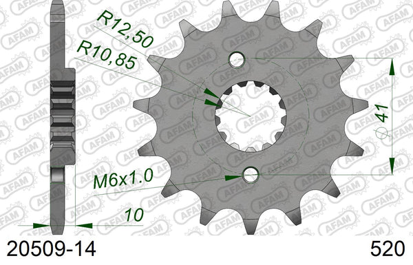 Pignone AFAM 20509-14 passo 520